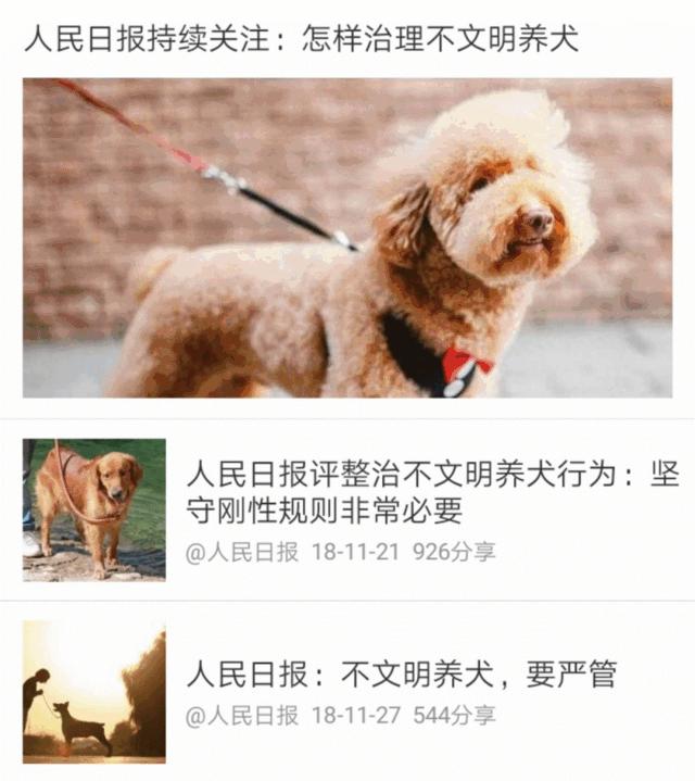 男子被一条狗疯咬,男子被狗追咬全身缝300多针