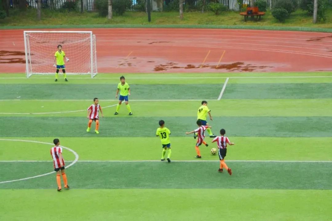 2020浦城小学生男足联赛落幕派迪茵体育试点校斩获冠亚军