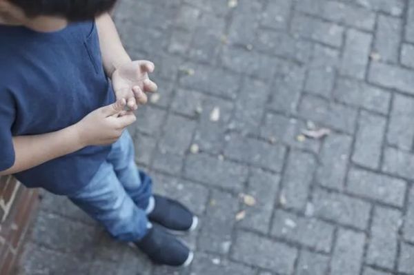 男子性侵3岁男童被捕现场,悉尼性侵案件