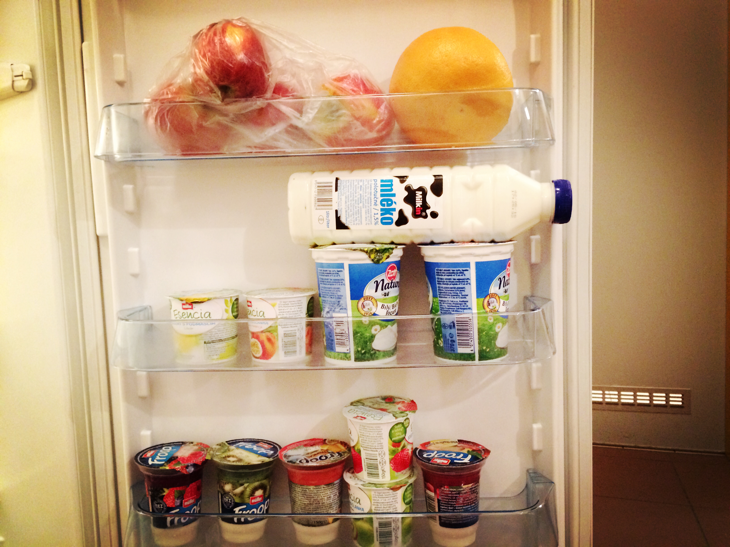 去波兰做交换生,捷克交换国际美食