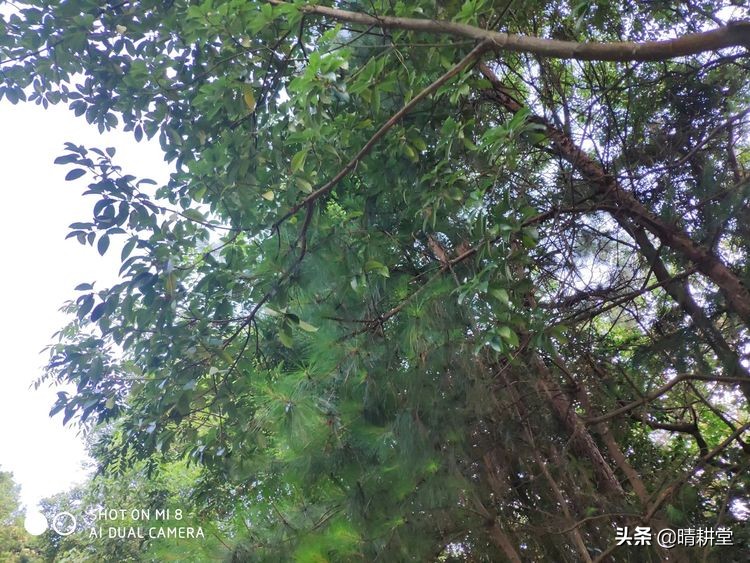 赣州峰山附近一日游自驾游景点,赣州峰山美景