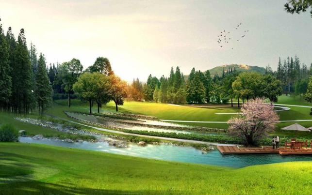 杜甫最有名的十首诗带解析,诗圣杜甫主要成就