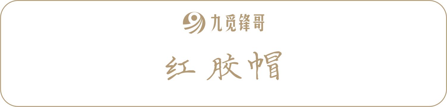 第三集:2013年原箱全套假鉴定技巧