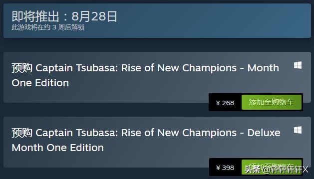 steam队长小翼新秀崛起怎么玩,队长小翼新秀崛起switch攻略