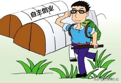 分享电商赚钱的方法,分享电商供应链流程