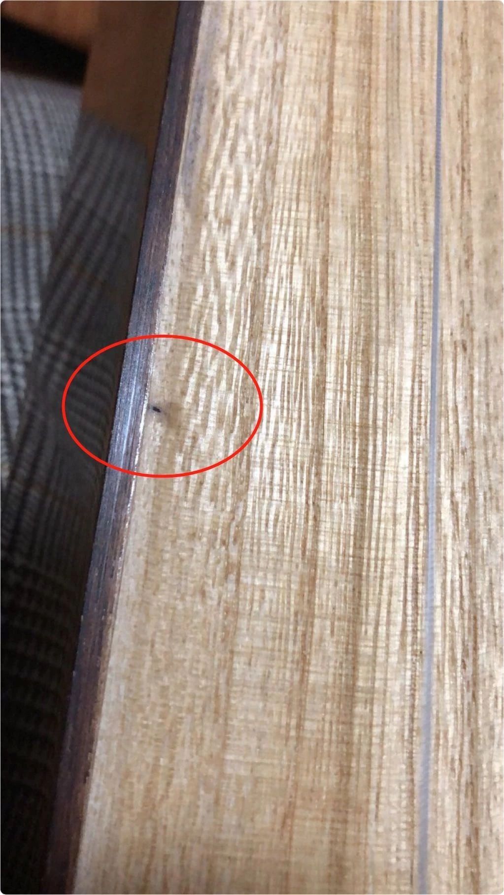 *伤杀**力大潜伏期长!你的古筝也需要“防疫”