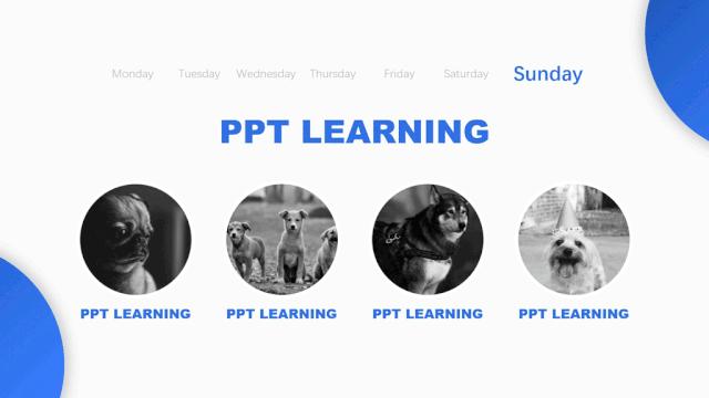 ppt的水平对齐和垂直对齐,ppt两端对齐最后一行不对齐