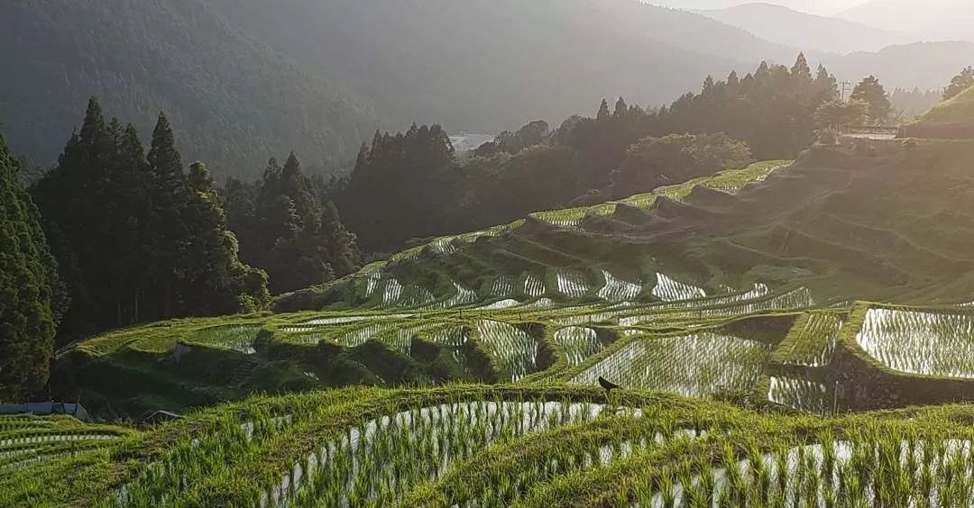 名古屋的机票,名古屋机票价格