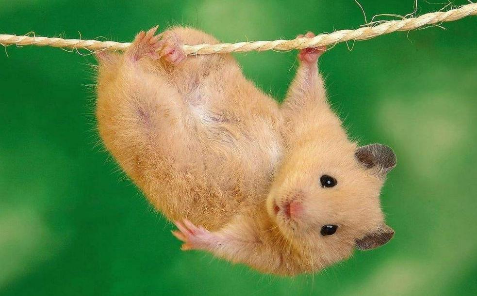 农村闰月是啥意思,闰四月农民怕什么