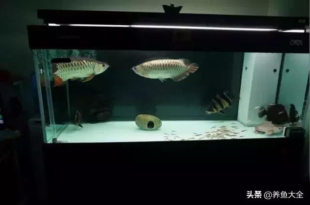 瀑布过滤推荐测评,过滤净水器好物测评