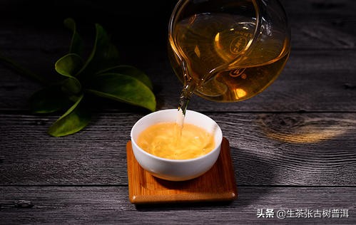 浅谈普洱茶与茶马古道的联系,茶马古道见证了普洱茶的历史