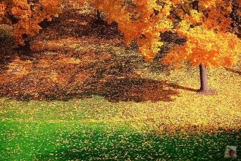 奢华宏伟,绝美的风景俄罗斯