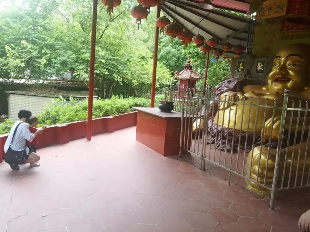 玉兰公园早期样子,玉兰公园昔日的辉煌