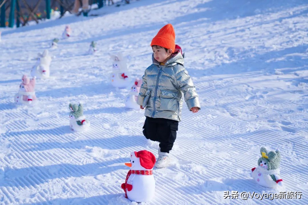 挑战21世纪最低温！我们为你盘点了比“泼水成冰”更美的冬日限定