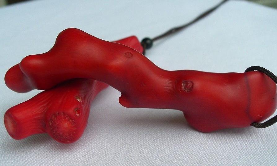 日本红珊瑚有假货吗,红珊瑚真伪视频