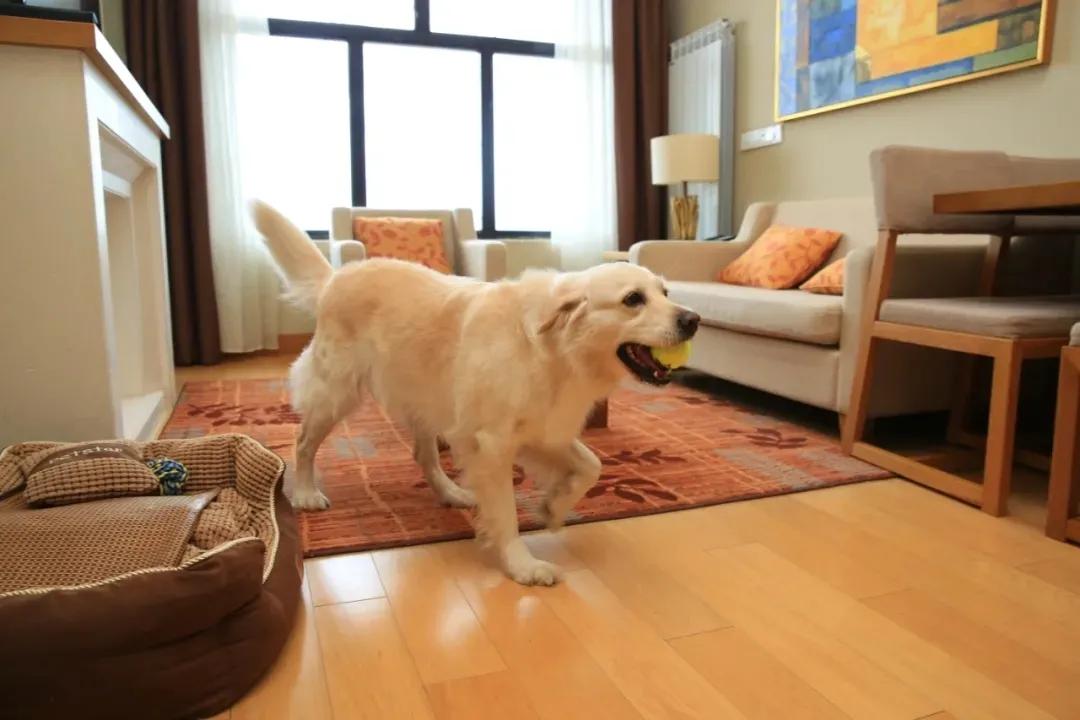 白山之夏旅游,白山4天旅游攻略