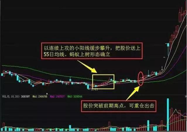 底部买入即将涨的股票,如何看底部引爆选股法