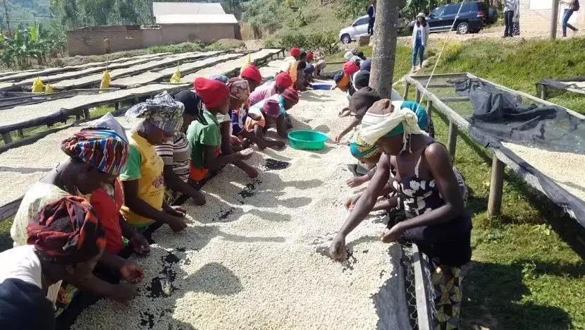 曾一天卖掉一年的量！尝到甜头的非洲老铁，这次想承包中国的年货
