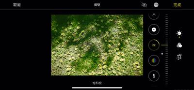 iphone手机的小隐藏小功能,iphone最实用系统