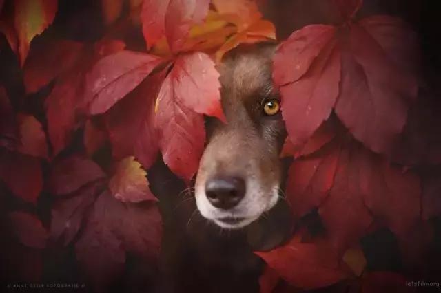 大家今年拍过最好看的照片,近期拍的最好看的照片