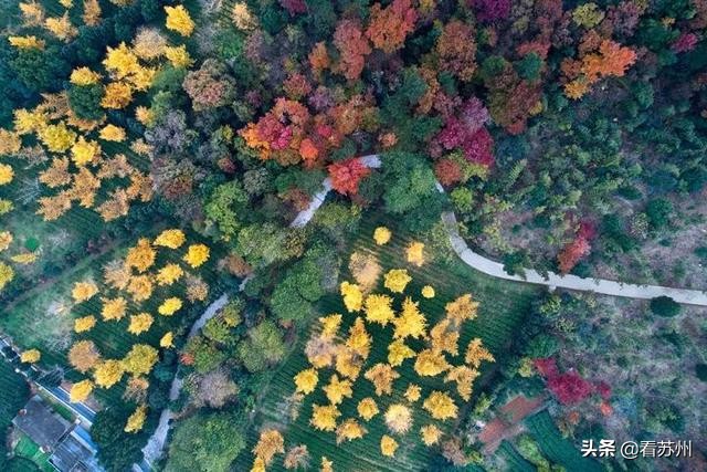 一入秋苏州怎就美成了姑苏,一入秋南京就成了金陵