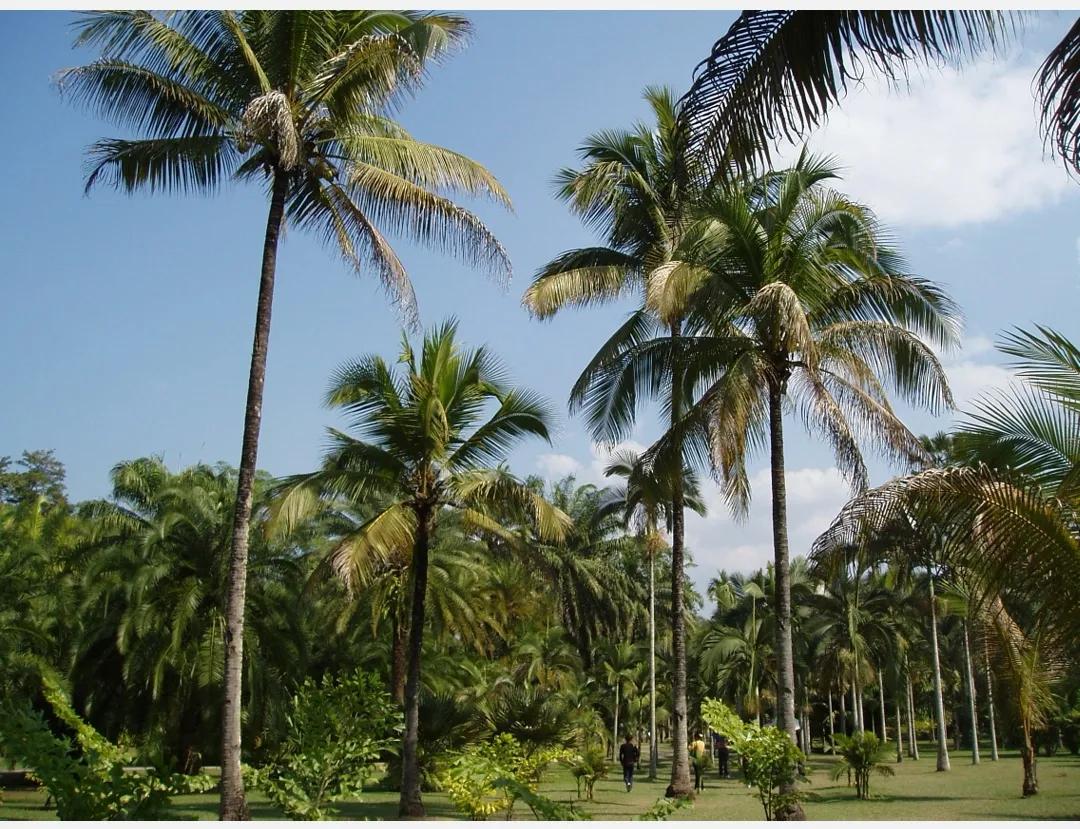 台湾苏花公路之旅,台湾行视频