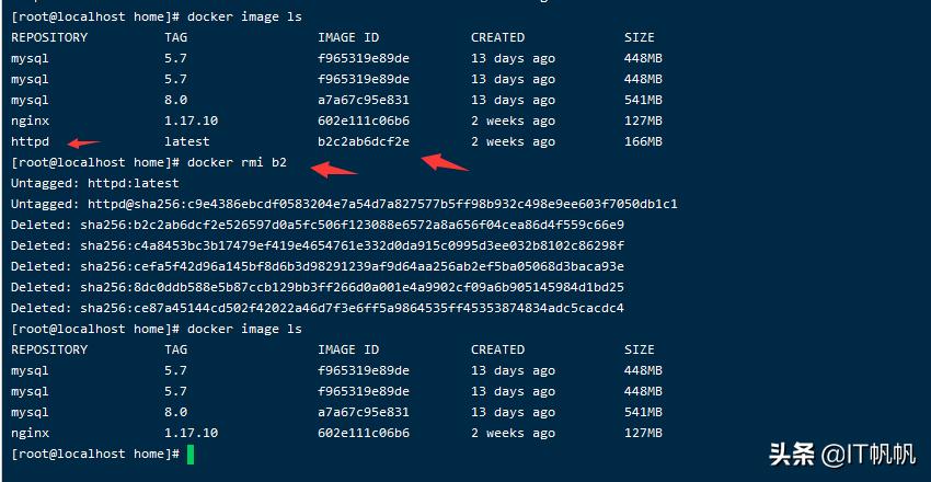 阿里云linux安装docker,centos7和8的docker镜像