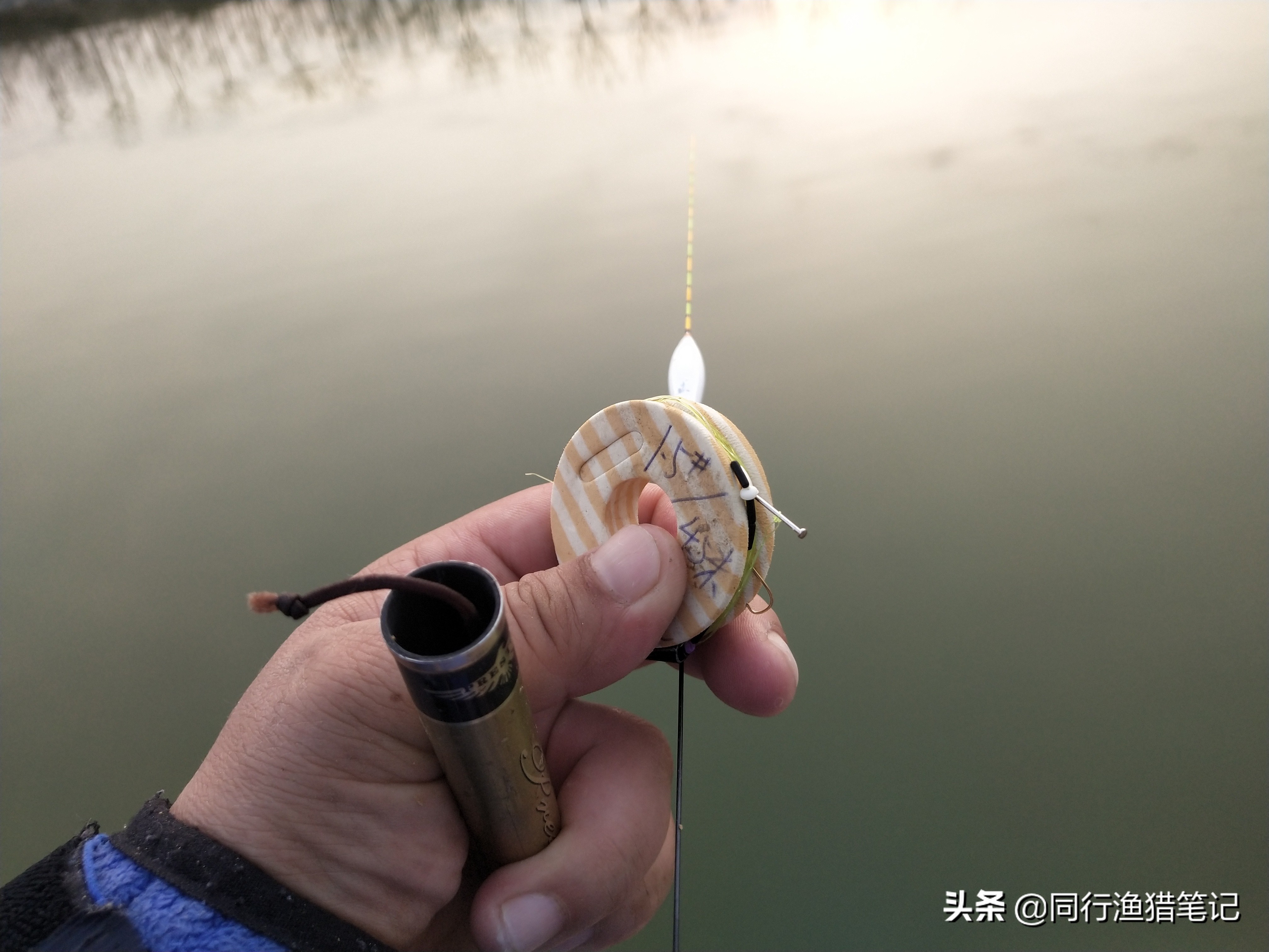 肥水塘如何钓浮,溶氧量低鱼会怎么样