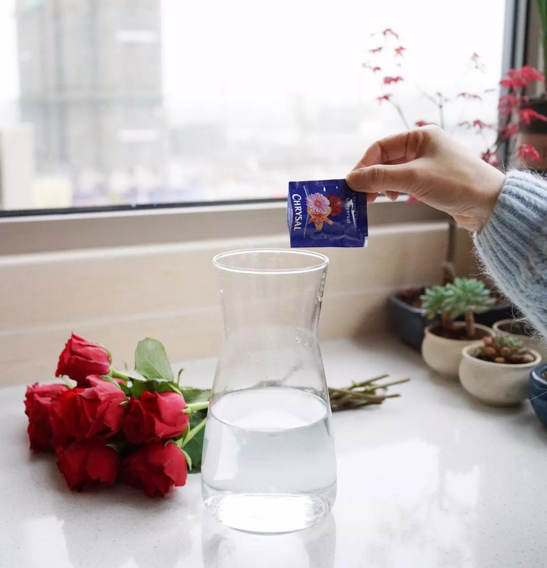 玫瑰养护教程文字,玫瑰养护技巧与方法