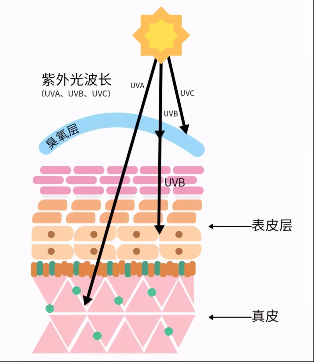 药学博士美白祛斑成分,美白淡斑成分测评