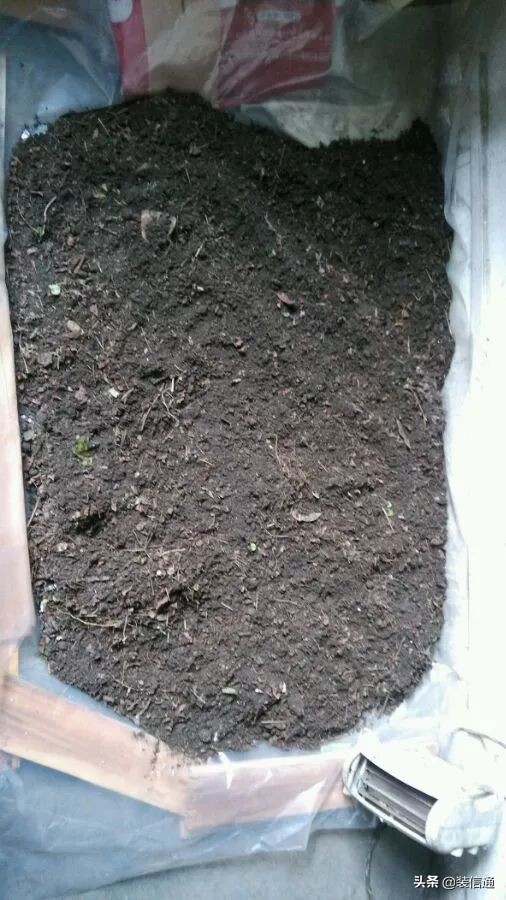 养花热门小常识大全,养花的几个小常识视频