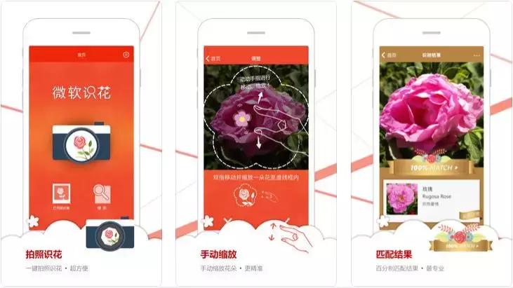 资源集合app,再也不用担心找不到东西