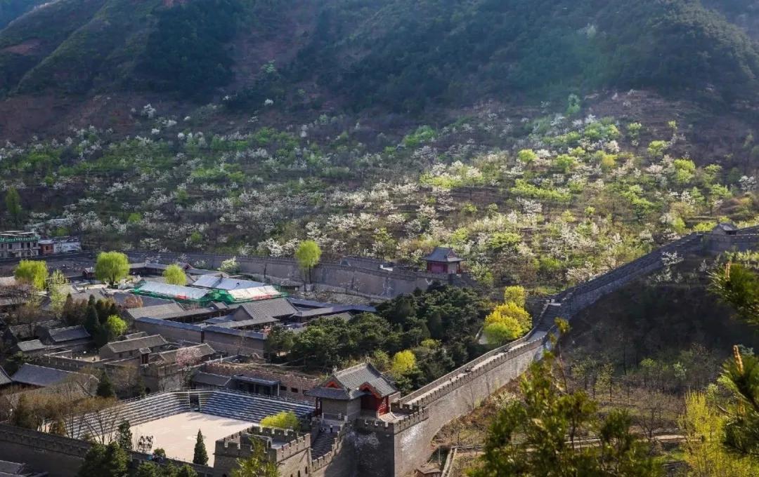 一个不出郑州的踏青好去处,天津春游公园推荐