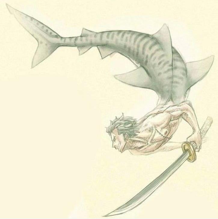 海贼王真人版娜美罗宾,娜美罗宾布鲁克变小