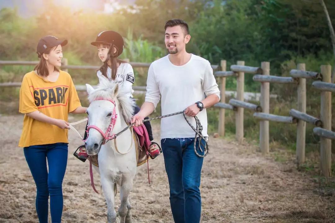 五一山顶云海露营攻略,云海悬崖旅游攻略