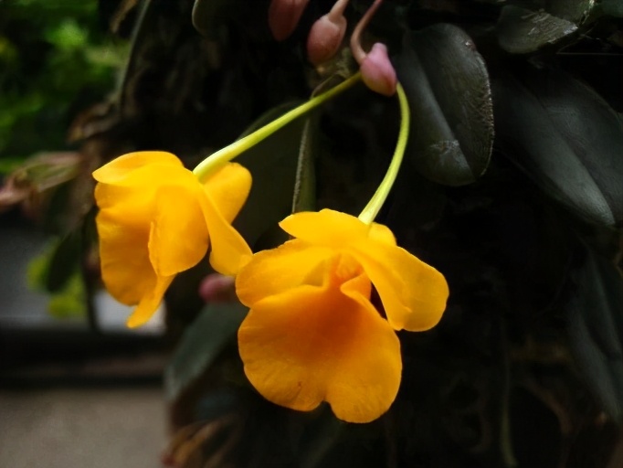 真正聪明的人身上有哪些特征,聪慧女人的特征