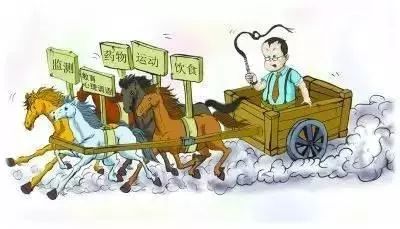 空腹血糖常高于7咋办?专家:别盲目降糖,考虑从5个方面入手!