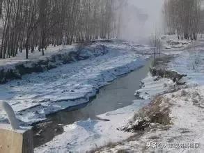 比较靠谱的有机肥,十大骗人的有机肥