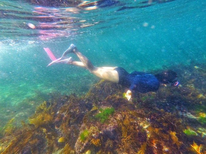 辽宁大连小海岛,辽宁大连旅游岛屿
