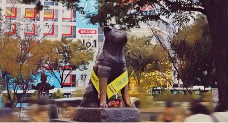 第一次去日本应该怎么办理出境,第一次去日本应该去哪里