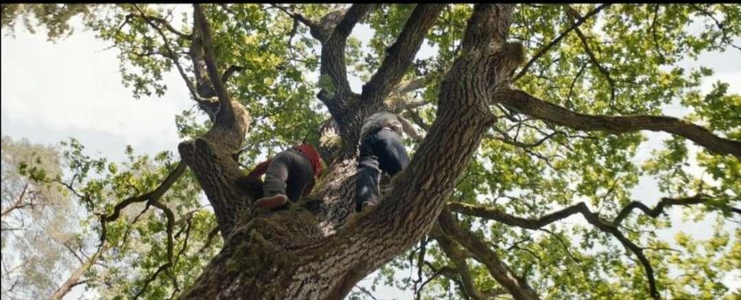 禁忌的孽缘，诠释欲望与痛苦的繁衍