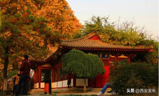西安赏秋,西安赏秋红叶好去处