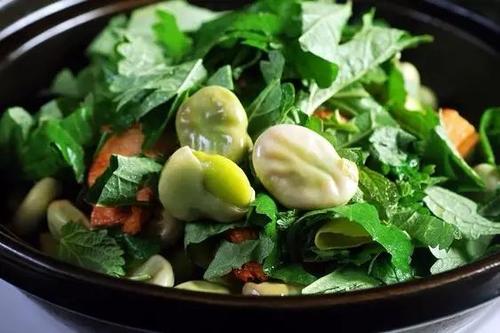 藿香怎么吃祛湿最好,广藿香泡水祛湿配方