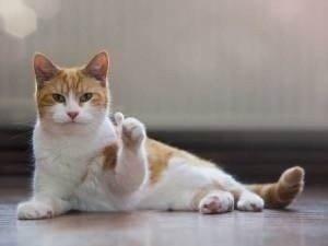 空瓶记十大好用物,用了很多大牌护肤品空瓶