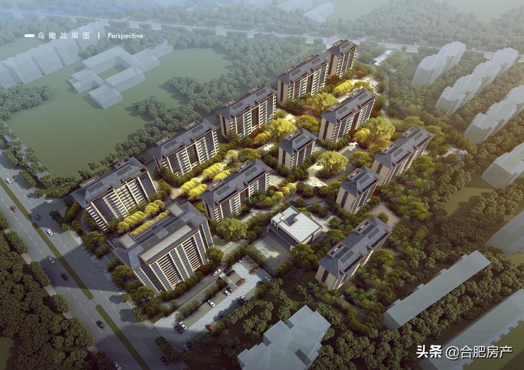 合肥开学小学,合肥小学学区房价一览表