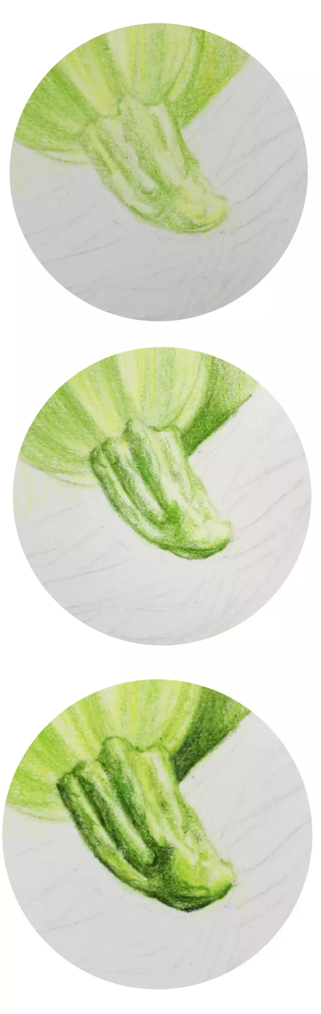 彩铅入门教学叠色,立体彩铅入门基础