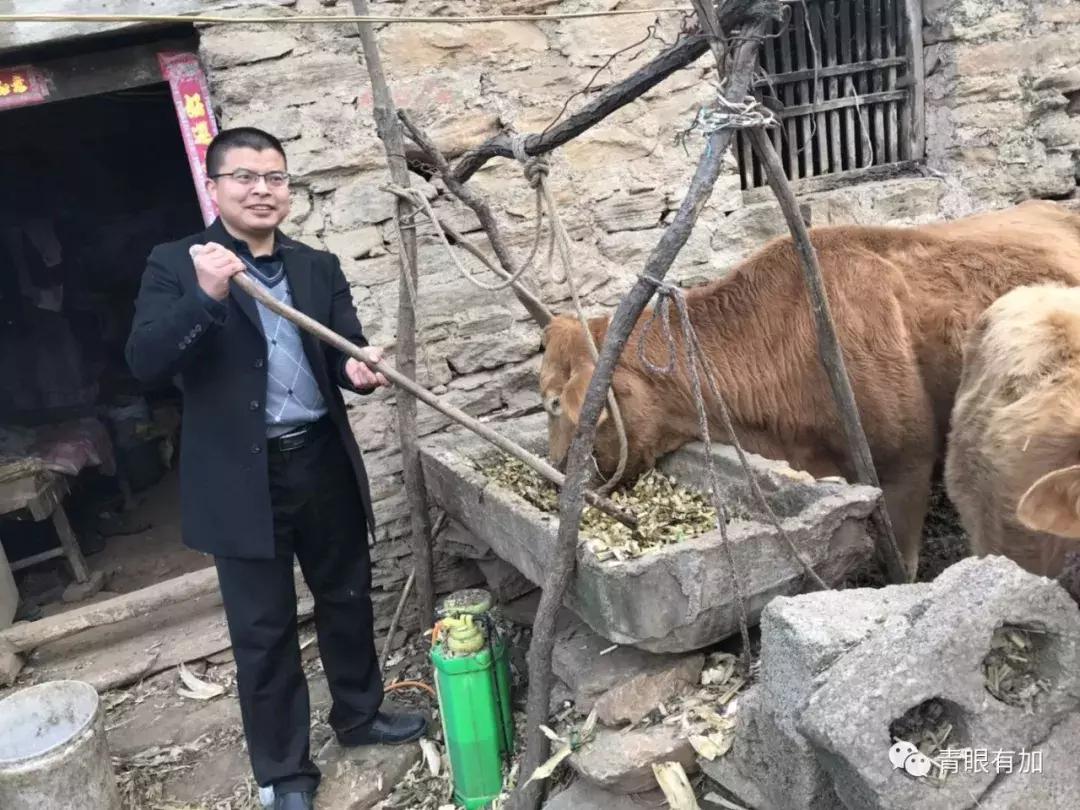 柱子兄弟︱青眼有加