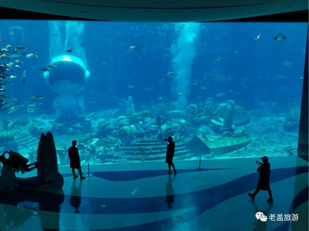 疫情下的海南旅游记录,疫情下三亚旅游