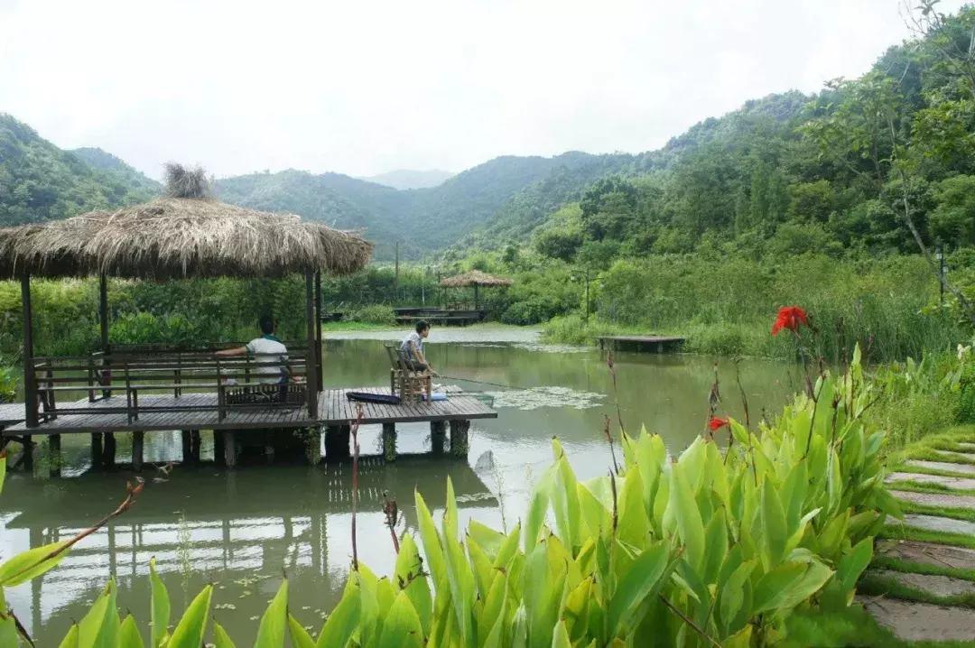 宁波横溪樱桃采摘,宁波周边樱桃采摘