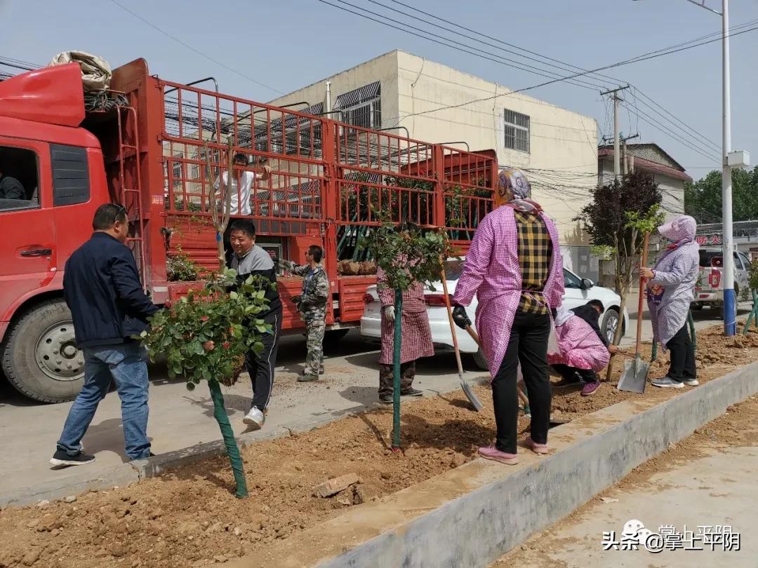 平阴新闻|街头艺术走进景区；玫瑰花监测价格公示